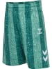 Hummel Kurze Hose Hmlshimmer Multisport Kinder in JUNE BUG