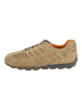 Geox Sneaker in Skin