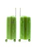 Gladiator 0800 4 Rollen Trolley 65 cm mit Dehnfalte green