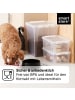 SmartStore 3er-Set Aufbewahrungsbox Classic Transparent 46L