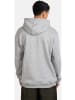 Reell Hoodie "Staple Logo Hoodie" in Grau