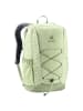 Deuter Gogo 25 - Rucksack 46 cm (kelp-nori) in mineral-grove
