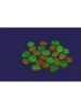 Eduplay Leucht Meteoriten in Mehrfarbig (24er Pack)