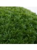 MCW Künstlicher Busch O96 Thuja Ø 32cm
