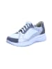 Finn Comfort Sneaker Low in grau
