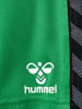 Hummel Hummel Kurze Hose Hmlauthentic Multisport Kinder Atmungsaktiv Schnelltrocknend in JELLY BEAN