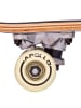 Apollo Kinderskateboard " Around the World - 24 Zoll Kinder Skateboard " in mehrfarbig