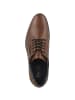 Bullboxer Businessschuhe 773K25263B in braun