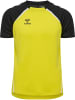 Hummel Sportshirt "Lead 2.0 Jersey S/S" in Gelb