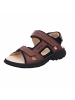 Ganter Sportliche Sandalen für Herren in braun