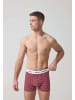 SNOCKS Boxershorts aus Bio-Baumwolle 6 Stück in Dunkelrote Streifen