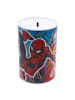 Spiderman Spiderman Spardose bedruckt aus Metall 15 × 10 × 10 cm in Mehrfarbig