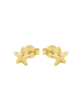 Amor Ohrstecker Gold 375/9 ct in Gold