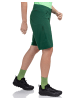 Schöffel Shorts "Shorts Danube L" in fir green