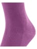 Falke Socken Family in Orchid