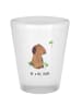 Mr. & Mrs. Panda Schnapsglas Hund Kleeblatt ohne Spruch in Transparent
