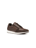 Geox Sneakers U in bunt