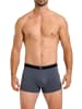 Haasis Bodywear 5er-Set: Pants in Carbon