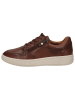 Caprice Sneaker in COGNAC SOFTNAP