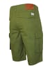 U.S. Polo Assn. Hose in olive