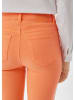 comma Hose  in  2400_orange