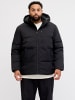 JACK & JONES PLUS Steppjacke in Black
