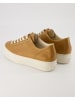 Paul Green Sneaker low in Braun