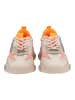Steve Madden Sneaker in Grau/Orange