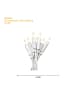 STAR Trading Lichterkette ,P-LED Indoor', weiß, 35 LEDs, 5m