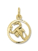 ONE ELEMENT  Skorpion Sternzeichen Anhänger aus 333 Gelbgold in gold