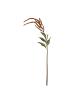 Butlers Kunstblume FLORISTA Millet/Hirse in Braun