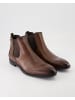 LLOYD Chelsea Boots in Braun