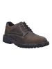 Josef Seibel Schnürschuhe  in Braun