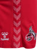 Hummel Hummel Shorts 1Fck 23/24 Fußball Unisex Erwachsene Atmungsaktiv Feuchtigkeitsabsorbierenden in TRUE RED