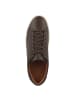 Timberland Sneaker low Dover Park Low Lace Up in dunkelbraun