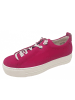 Paul Green Sneaker  in Pink