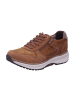 Xsensible Sneaker Low in braun