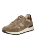 Nero Giardini Sneaker in Fango