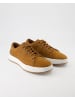 Timberland Sneaker low in Braun