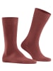 Falke Socken Family in Rust