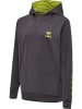 Hummel Hoodie Hmloffgrid Cotton Hoodie Kids in FORGED IRON/DARK CITRON