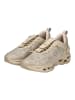 Steve Madden Sneaker Rosegold