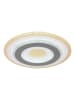 Globo lighting Deckenleuchte "SABATINO" in white