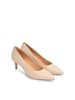 Kazar Pumps JULA in Beige