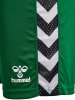 Hummel Kurze Hose Playful Shorts Erwachsene in EVERGREEN