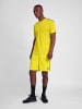 Hummel T-Shirt Hmlauthentic Multisport Herren in BLAZING YELLOW