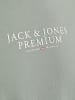 Jack & Jones T-shirt in Iceberg Green