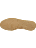 Gant Sneaker low Cuzmo in gruen