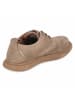 Camel Active Schnürhalbschuh in taupe
