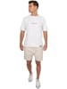 Reichstadt Shorts in Oat Grey